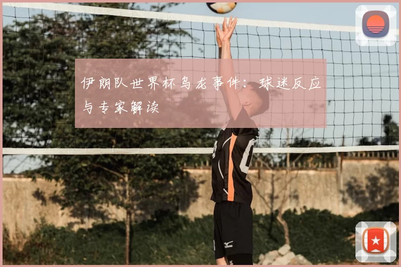 伊朗队世界杯乌龙事件:球迷反应与专家解读