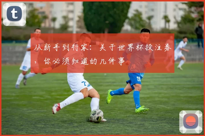 从新手到行家:关于世界杯投注券,你必须知道的几件事