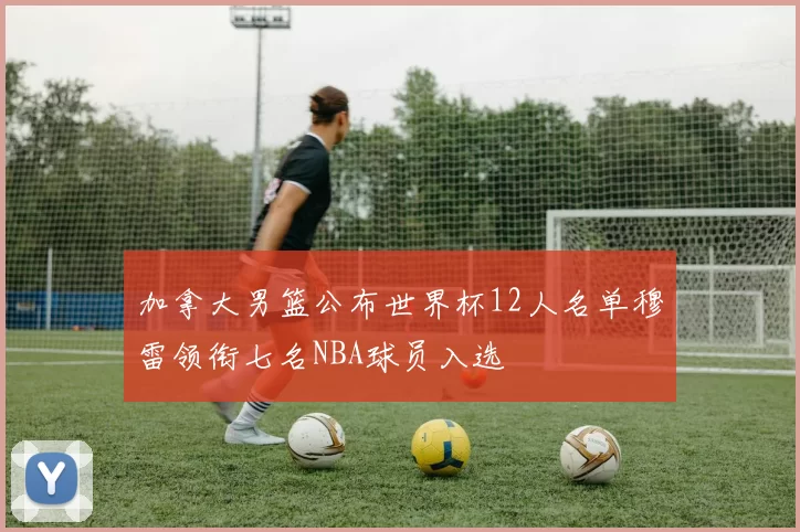 加拿大男篮公布世界杯12人名单穆雷领衔七名NBA球员入选