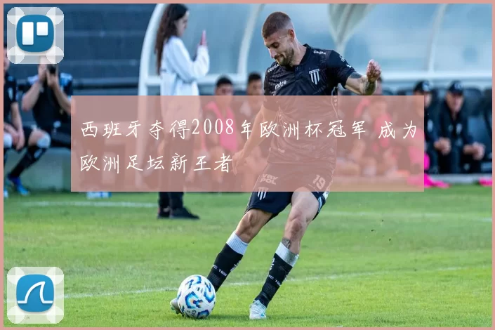 西班牙夺得2008年欧洲杯冠军 成为欧洲足坛新王者