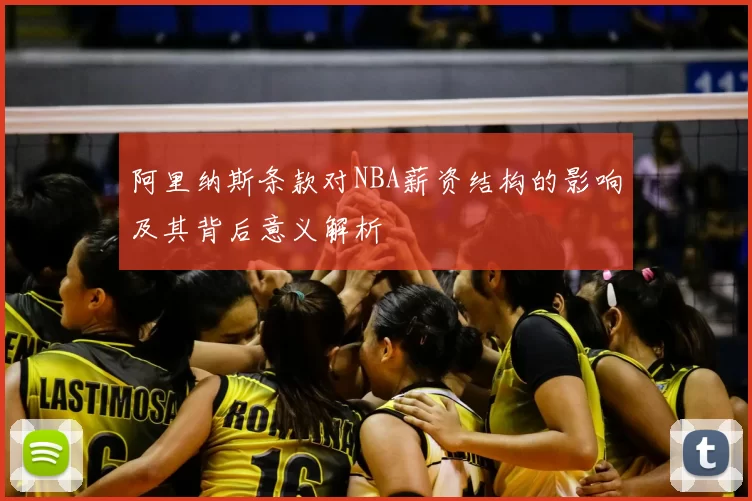 阿里纳斯条款对NBA薪资结构的影响及其背后意义解析