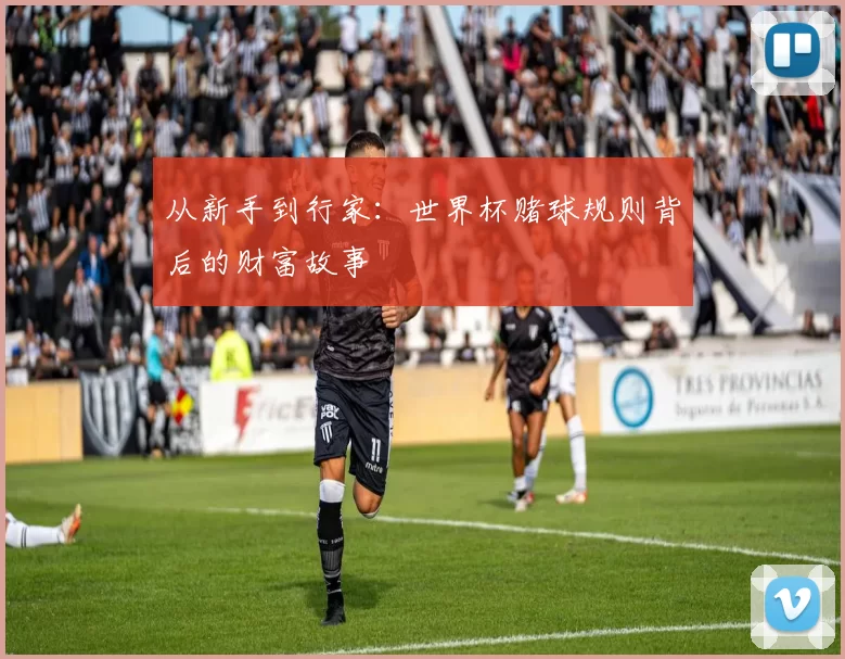 从新手到行家:世界杯赌球规则背后的财富故事