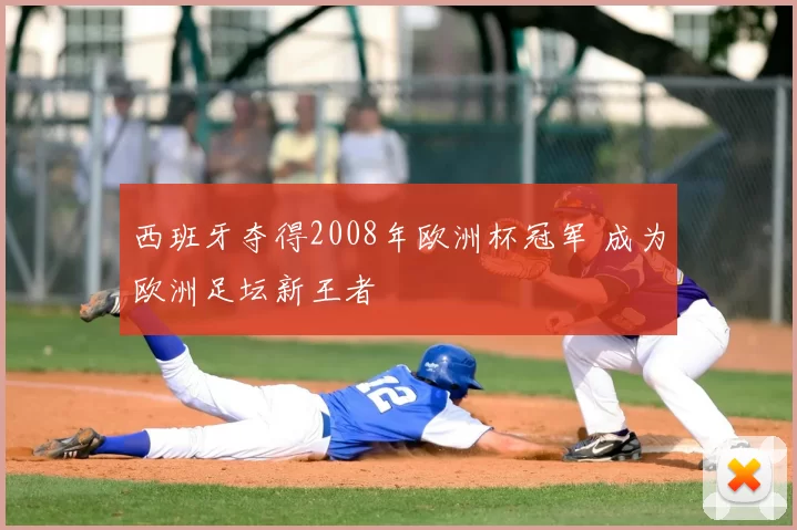 西班牙夺得2008年欧洲杯冠军 成为欧洲足坛新王者
