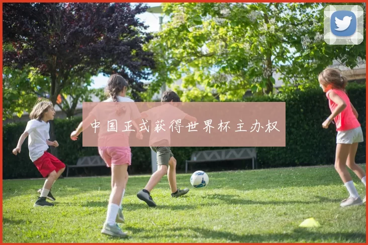 中国正式获得世界杯主办权
