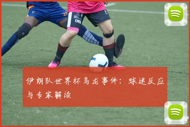 伊朗队世界杯乌龙事件:球迷反应与专家解读
