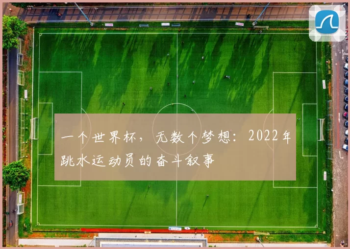一个世界杯,无数个梦想:2022年跳水运动员的奋斗叙事