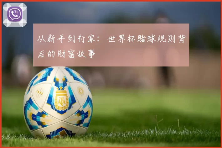 从新手到行家:世界杯赌球规则背后的财富故事