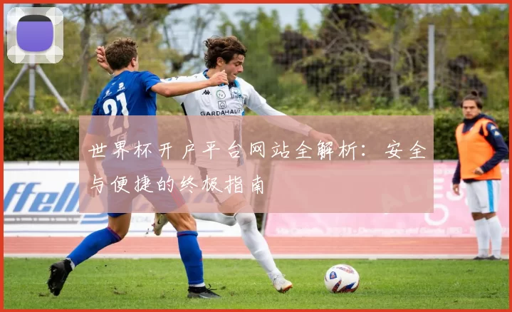 世界杯开户平台网站全解析:安全与便捷的终极指南