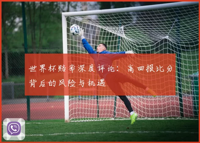 世界杯赔率深度评论:高回报比分背后的风险与机遇