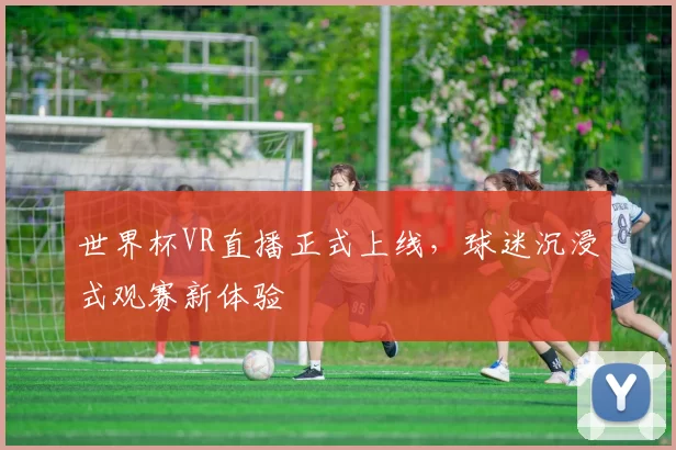 世界杯VR直播正式上线,球迷沉浸式观赛新体验