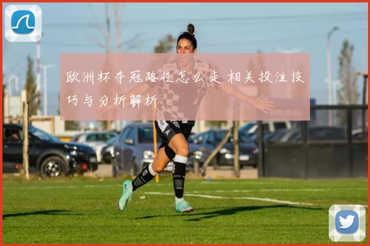欧洲杯夺冠路径怎么走 相关投注技巧与分析解析